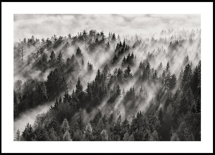 Sundance No.1 Poster