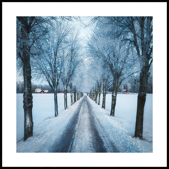 Swedish winter Posters