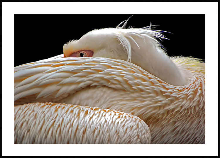 To be half asleep...