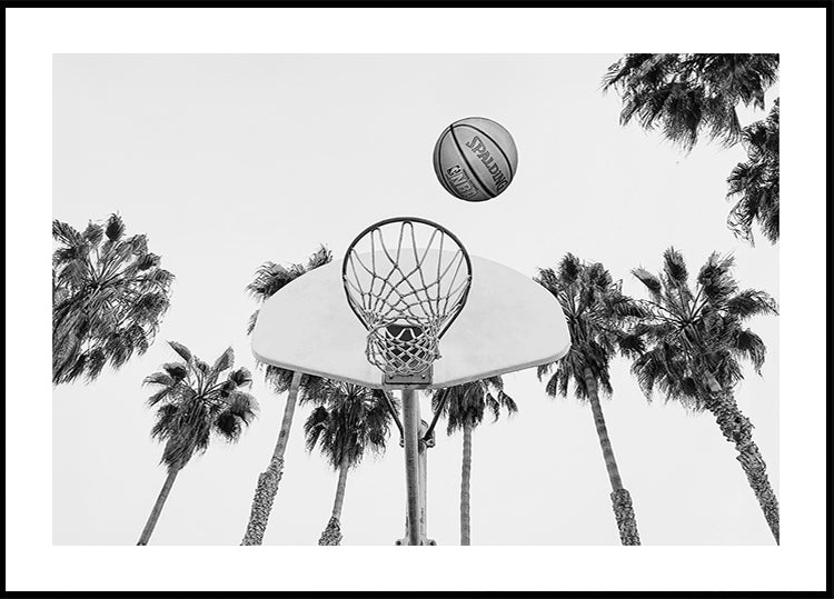 Basketball Poster