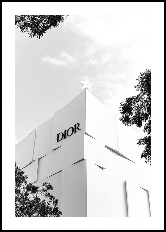 Dior Miami Boutique Black & White Poster