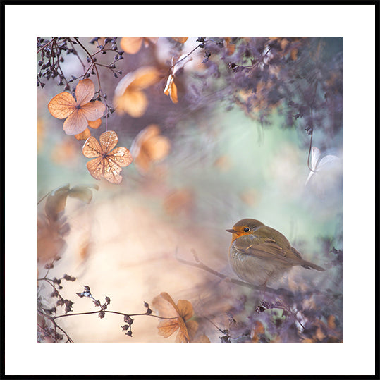 Hydrangea fantasy Poster