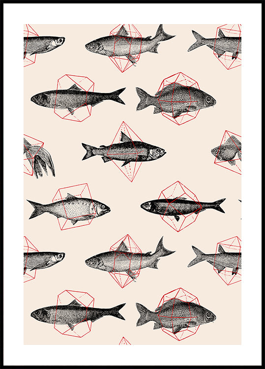 Fishes In Geometrics Nº4 Poster