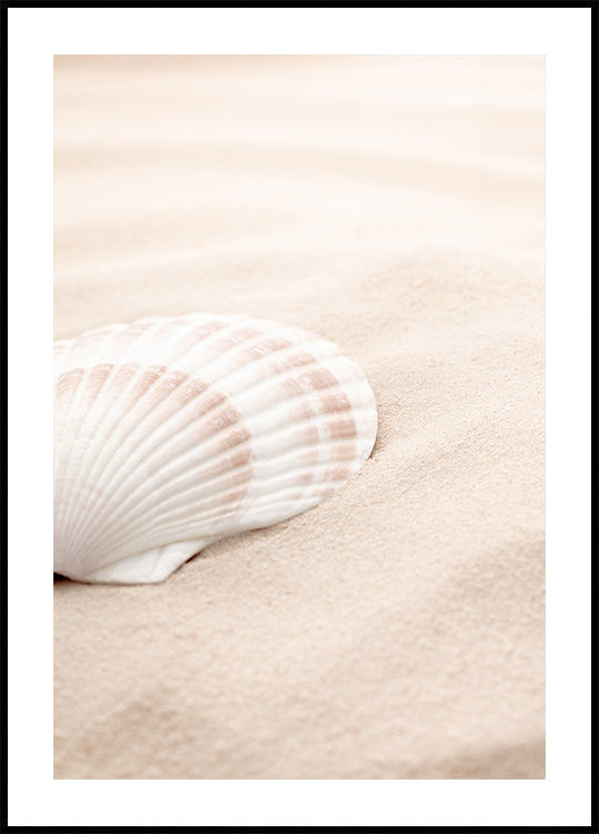 Shell_3 Poster