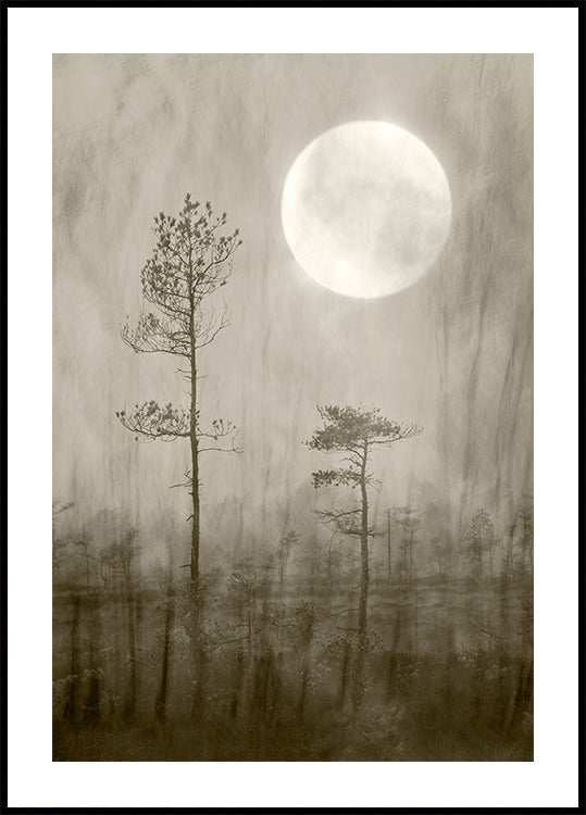 Moonlight Moor Poster