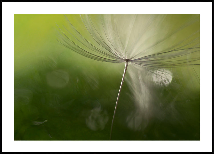 Shadows in the green