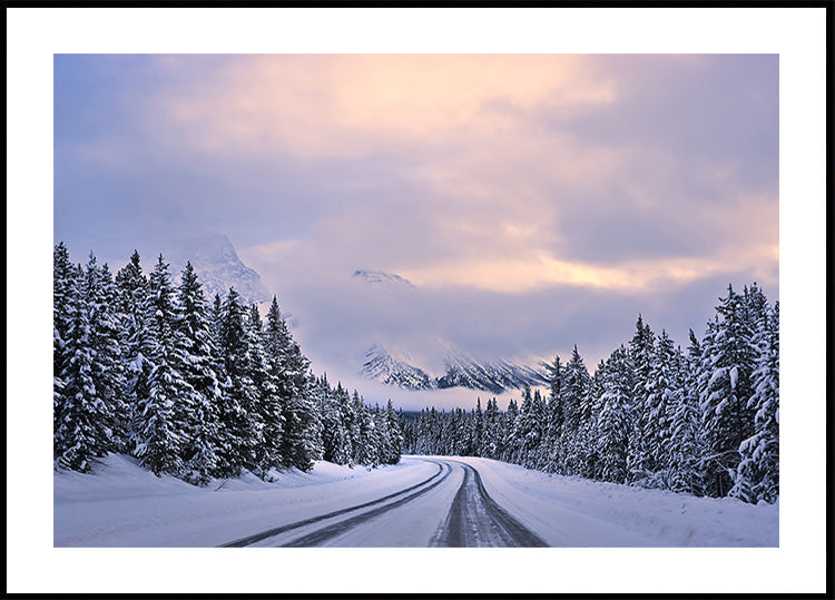 To the Wonderland Poster