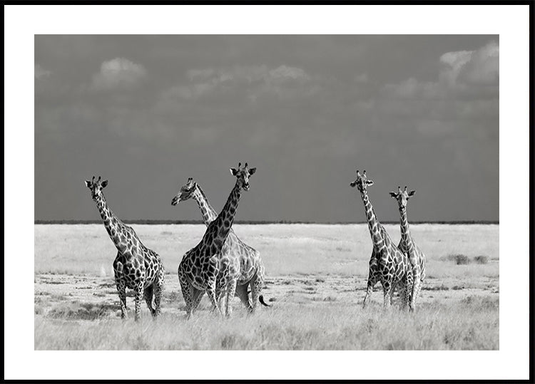 Look Girl Strange Animals