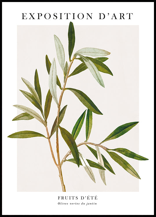Olive Poster - Posterbox.dk