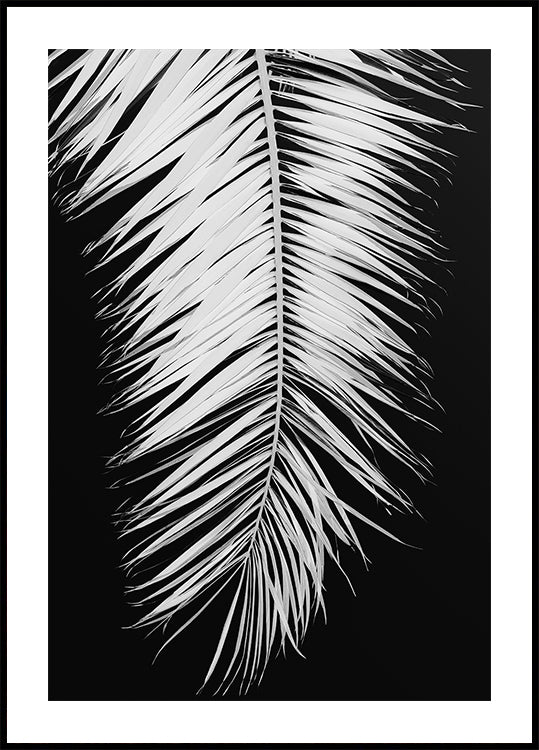 Palm leaf No.4 Poster