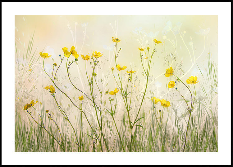 Good morning! Poster