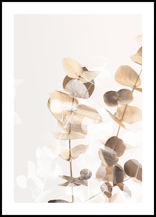Eucalyptus Creative Gold 01 Poster