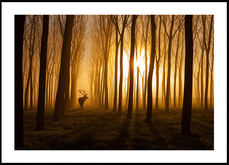 Once Upon a Time Poster