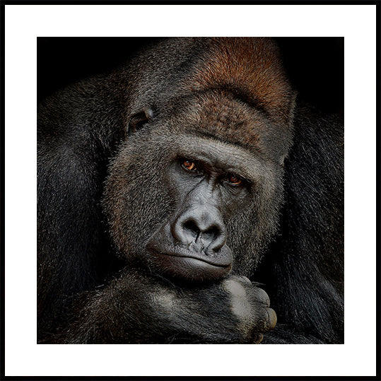 ONE MOMENT IN CONTACT Poster