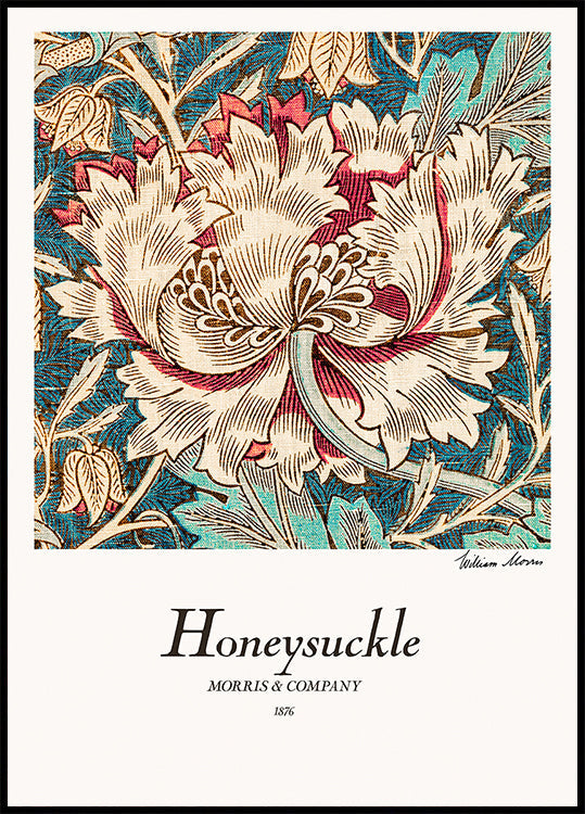 Honeysuckle Poster