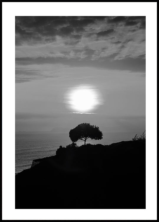 One Tree At Sunset Poster - Posterbox.dk
