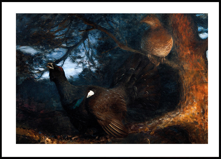 The Mating of the Capercaillies By Bruno Liljefors Poster - Posterbox.dk