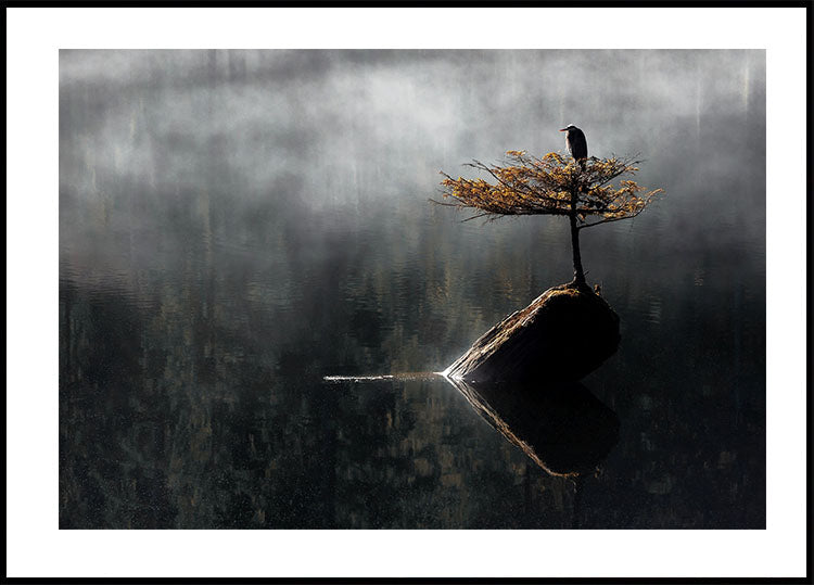 Heron Sitting On The Bonsai Tree Poster - Posterbox.dk