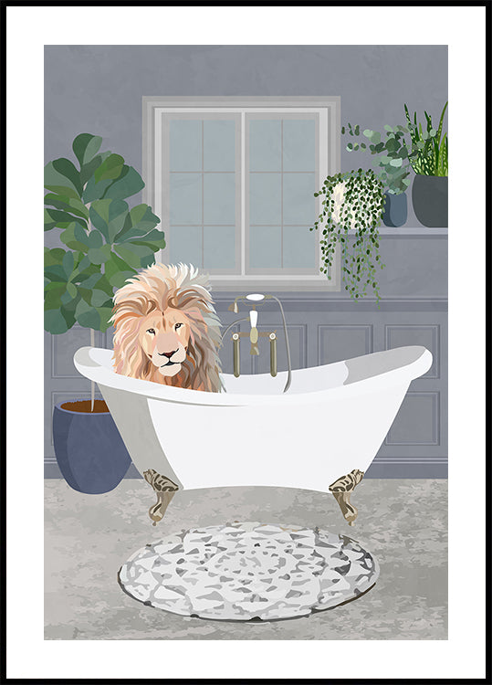 Lion takes a bath Poster
