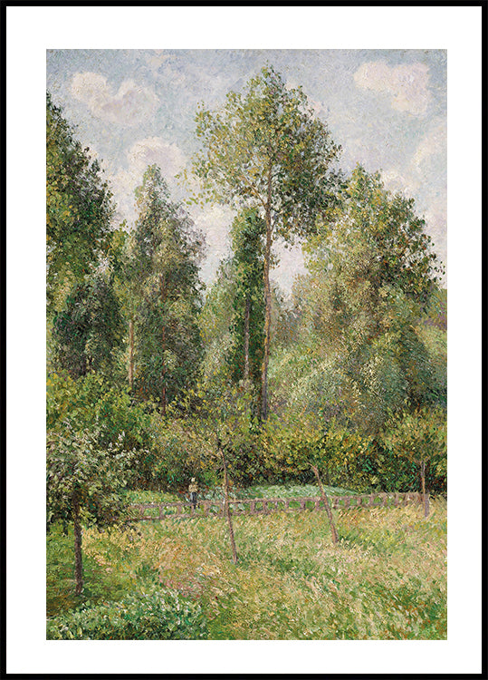 Poplars Éragny By Camille Pissarro Poster - Posterbox.dk