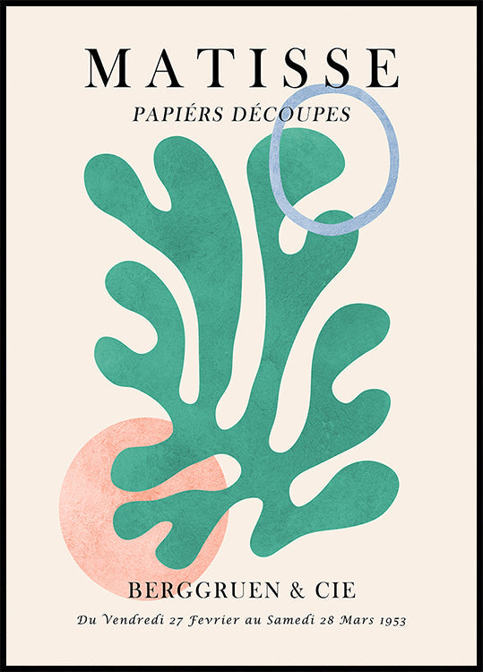 Matisse floral 6 Poster