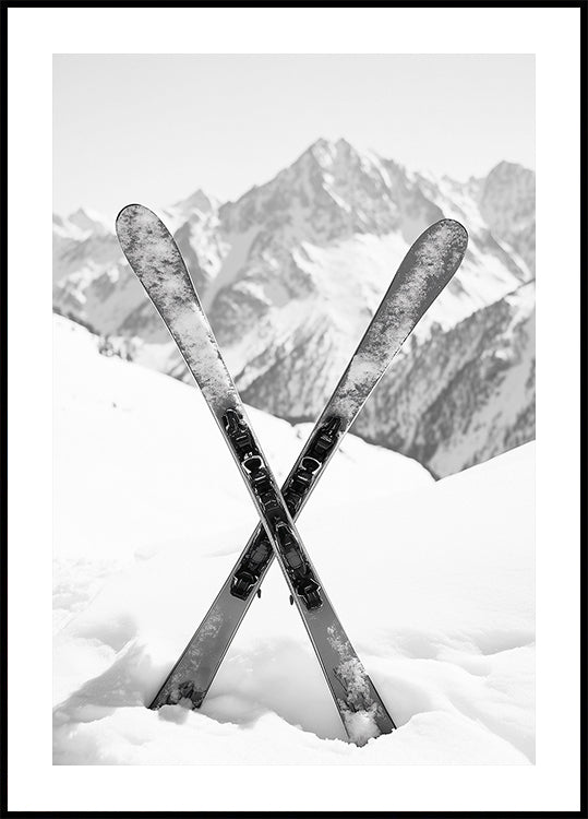 Skies Apples Black and White Poster