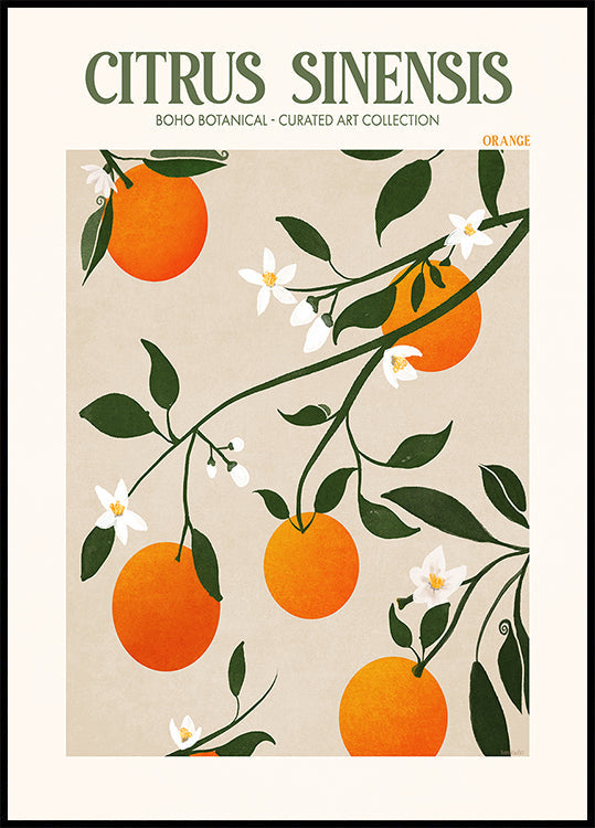Orange Elegance Poster