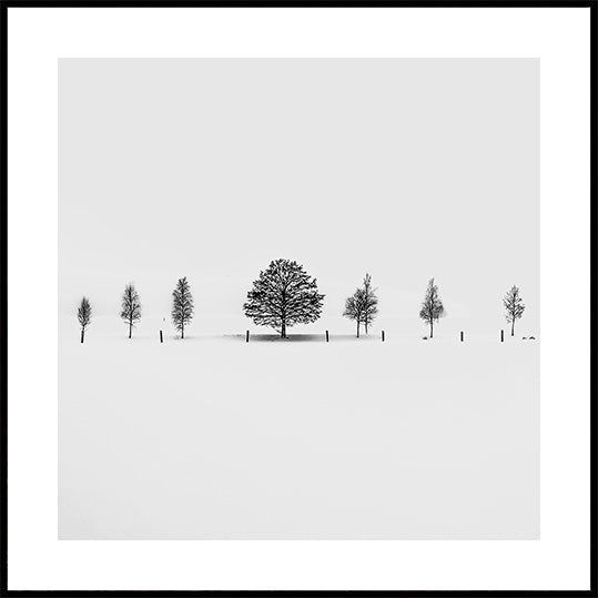 Together Alone Posters