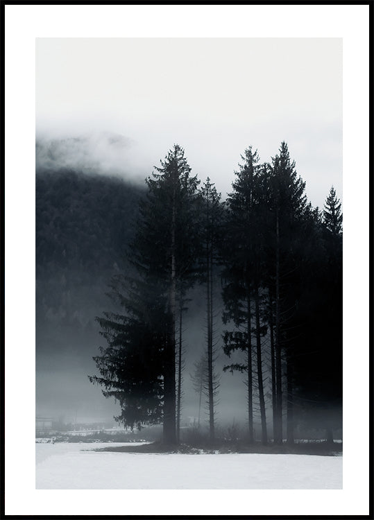 Pine Tree In a Foggy Field Poster - Posterbox.dk