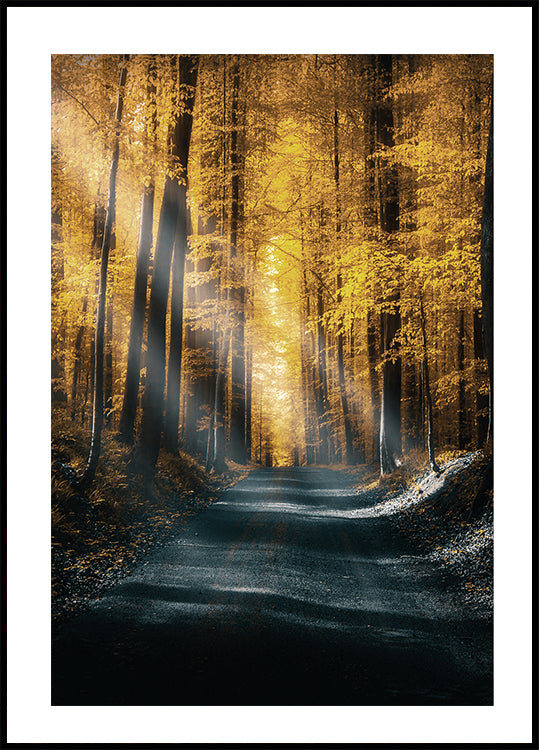 Autumn Forest Poster - Posterbox.dk