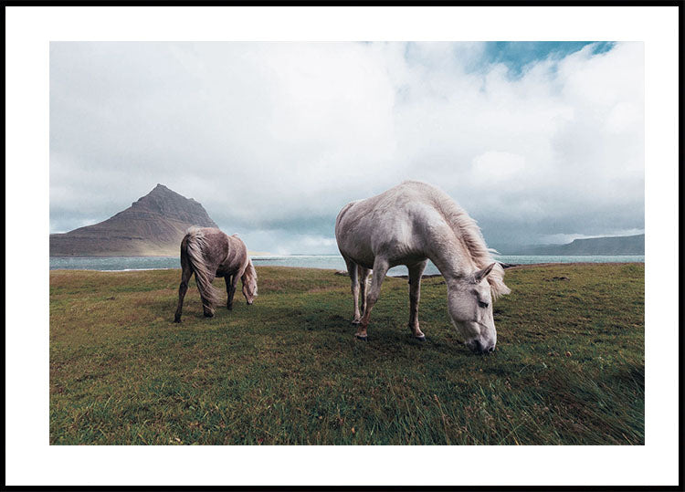 Horses by A Lake Poster - Posterbox.dk