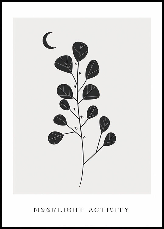 Moonlight Activity No. 3 Poster - Posterbox.dk