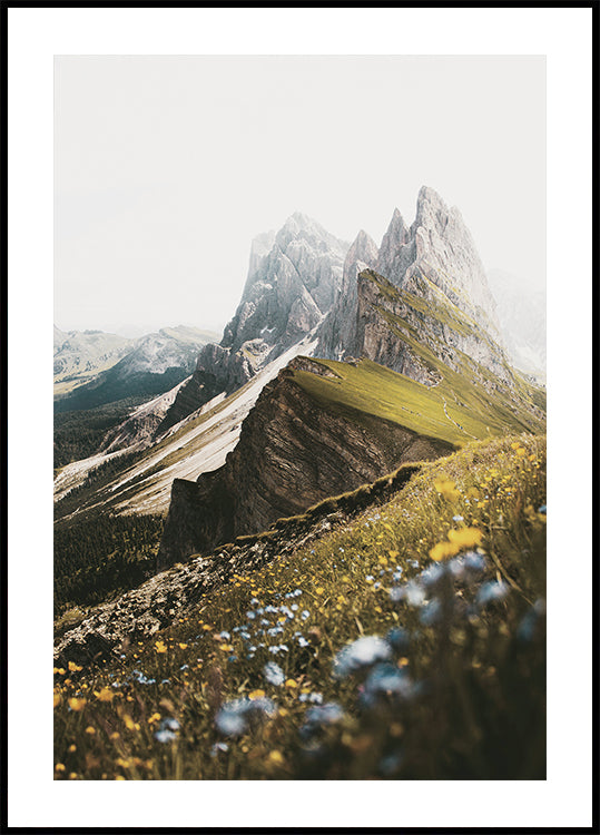 Flowers On The Mountain Poster - Posterbox.dk