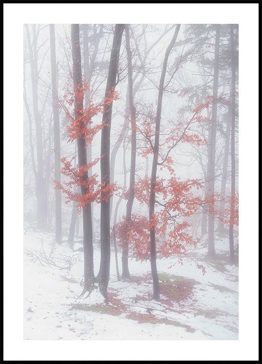 Autumnal snow Poster