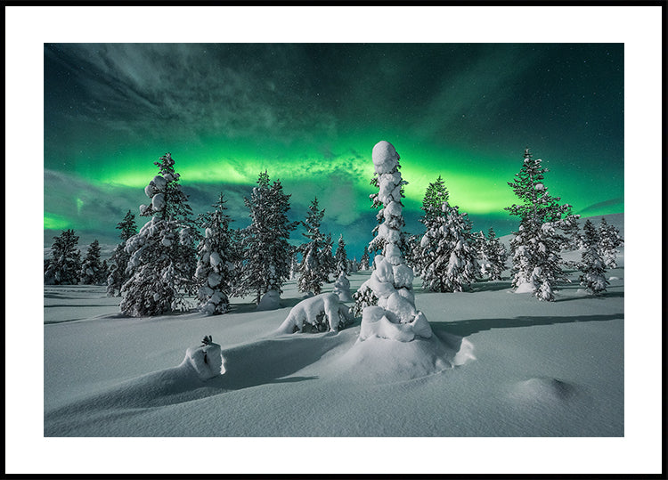 polar night Poster