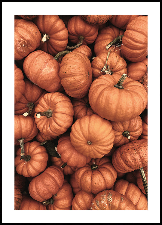 Warm Autumn Pumpkins Poster - Posterbox.dk
