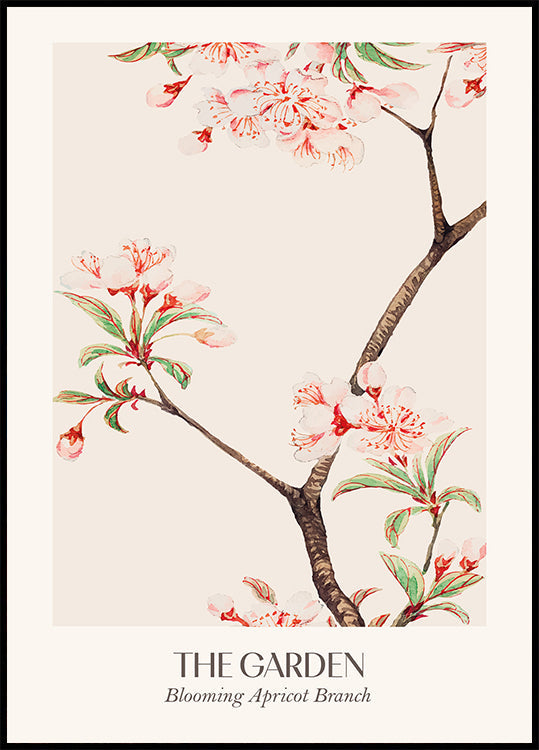 Blooming Apricot Branch Poster - Posterbox.dk