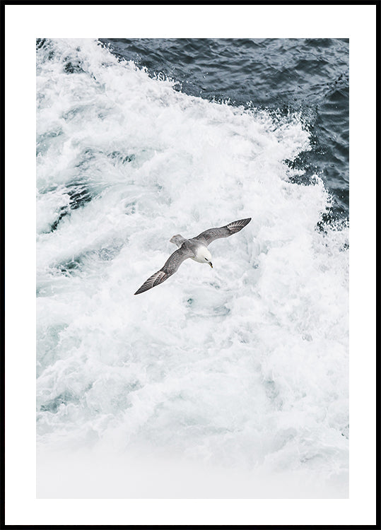 Gray Seagull Flying Over Waves Poster - Posterbox.dk