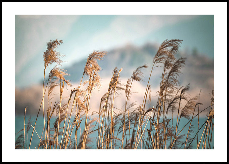 Reeds By The Lake Poster - Posterbox.dk