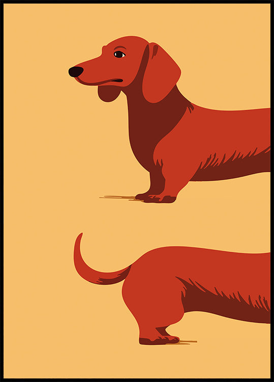Dachshund Poster