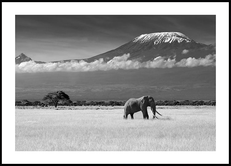 Lost Colors II Poster