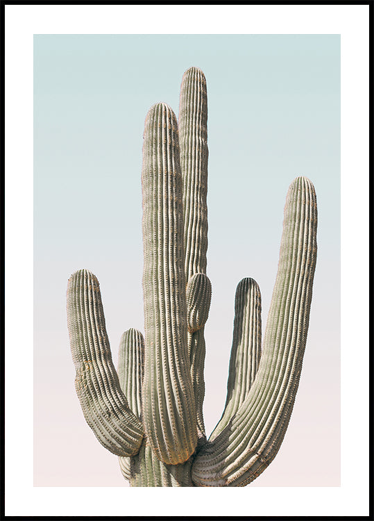 Saguaro Poster