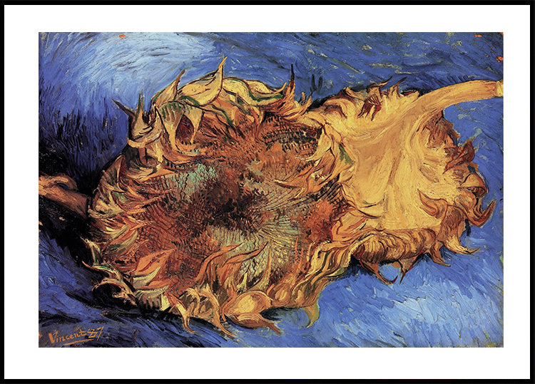 Sunflowers By Vincent van Gogh Poster - Posterbox.dk