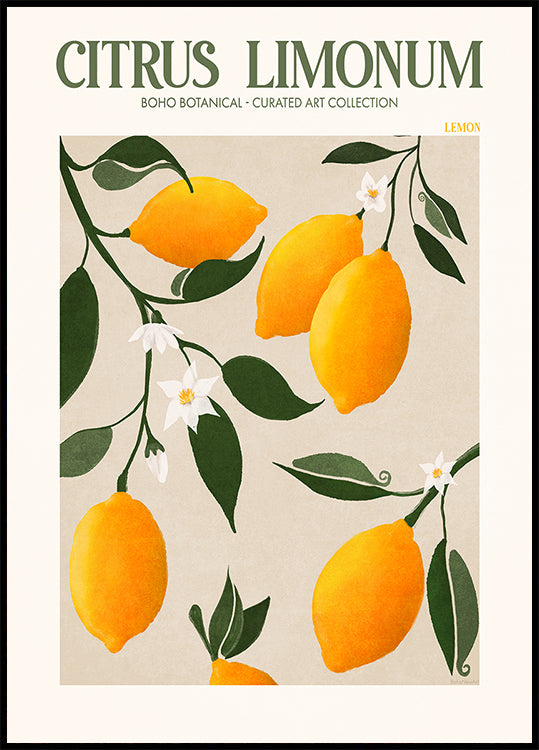 Golden Citrus Delight Poster