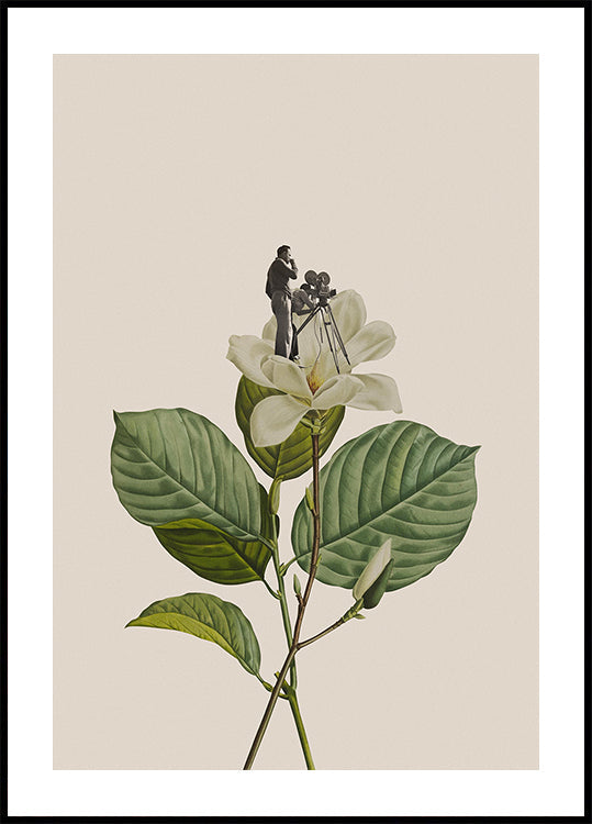 Botanical vintage cameraman Poster