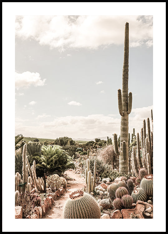 Cactus Farm Poster