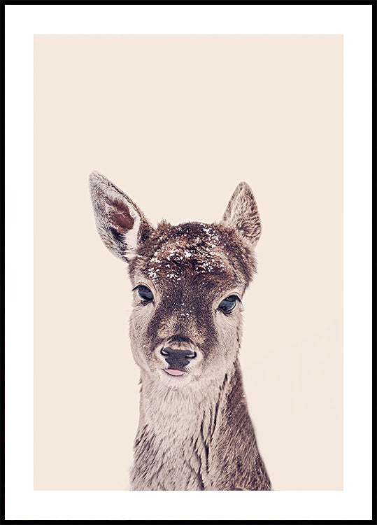 Fawn Rosé Beige Poster
