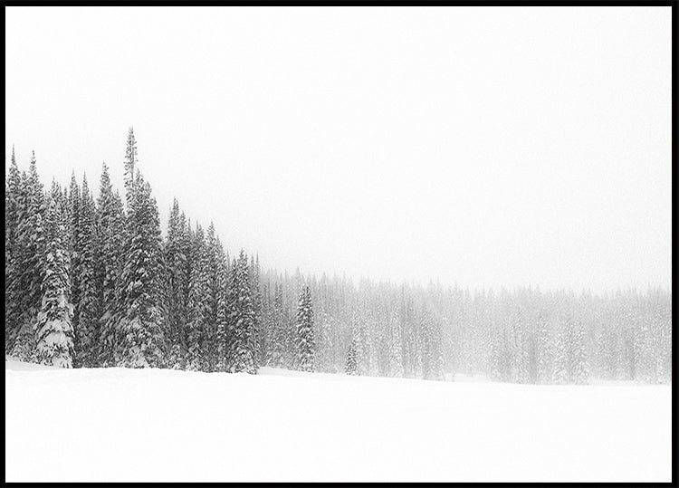 Forest for the Trees Poster