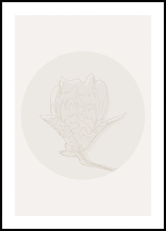 Magnolia Elegance, Botanical Line Art Poster