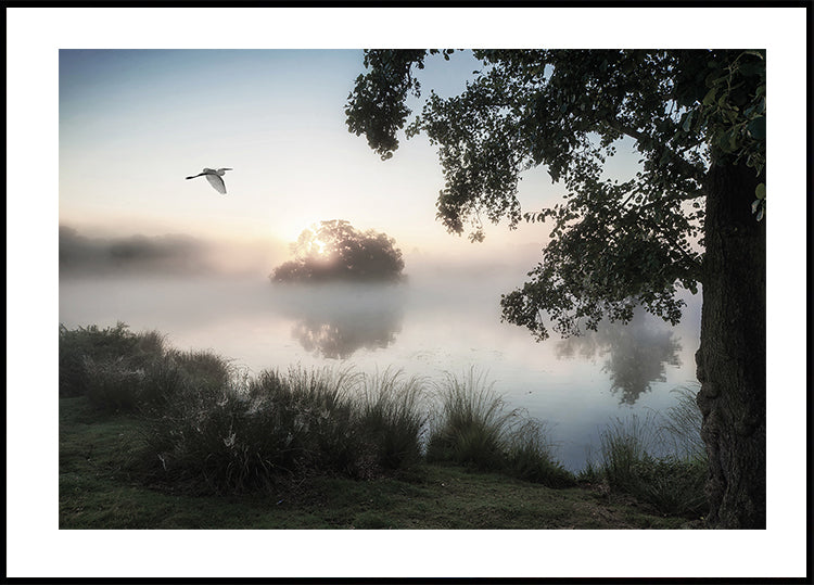 Heron Flying Over a Foggy Lake Poster - Posterbox.dk